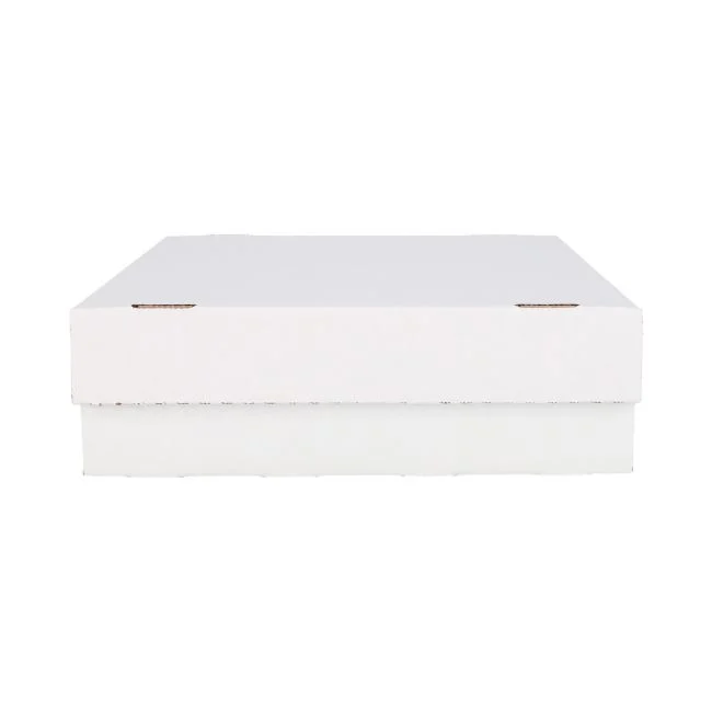 BCW 3200 Count Storage Box