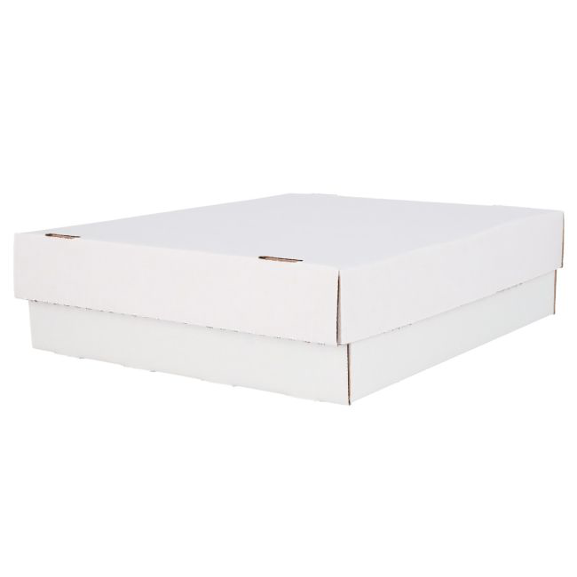 BCW 3200 Count Storage Box