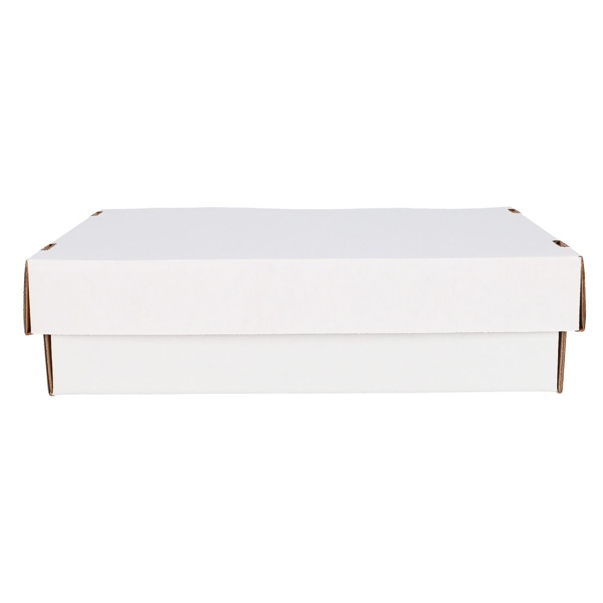 BCW 3200 Count Storage Box